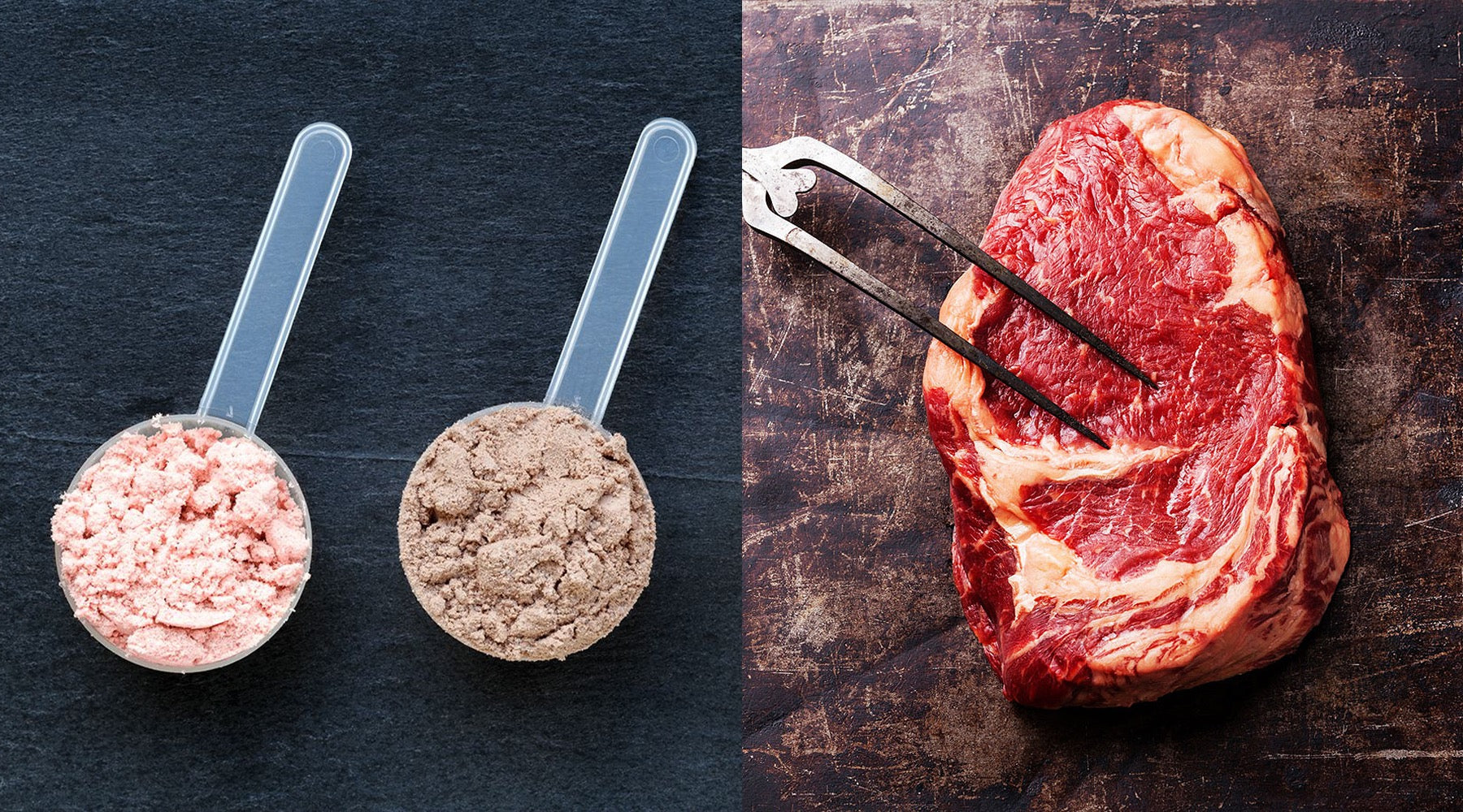 Protein For Fat Loss