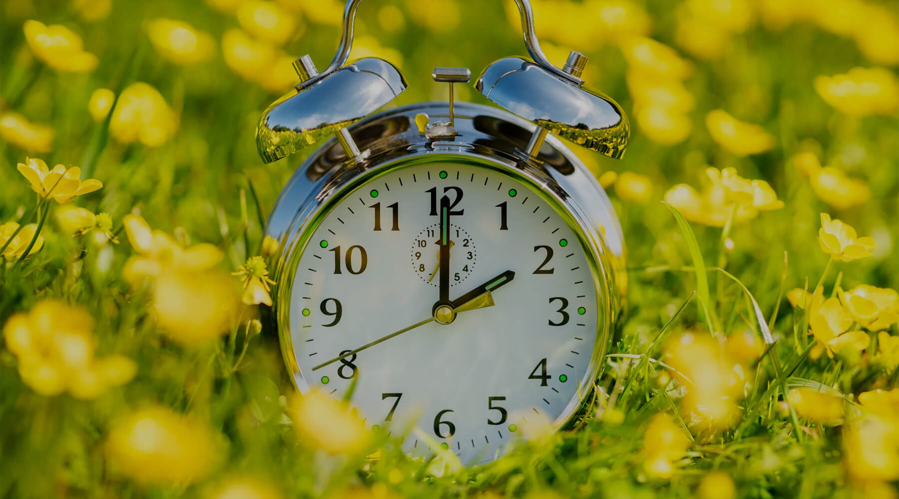 Best Supplements To Help With Daylight Savings Time